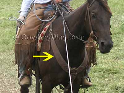 A Western breast collar