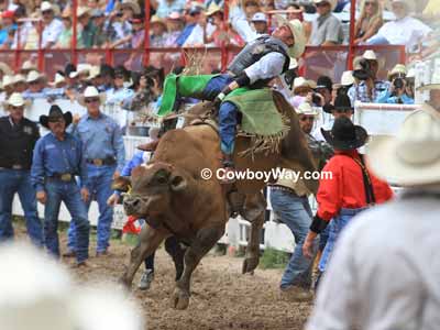 Bull Riding Vests For Sale