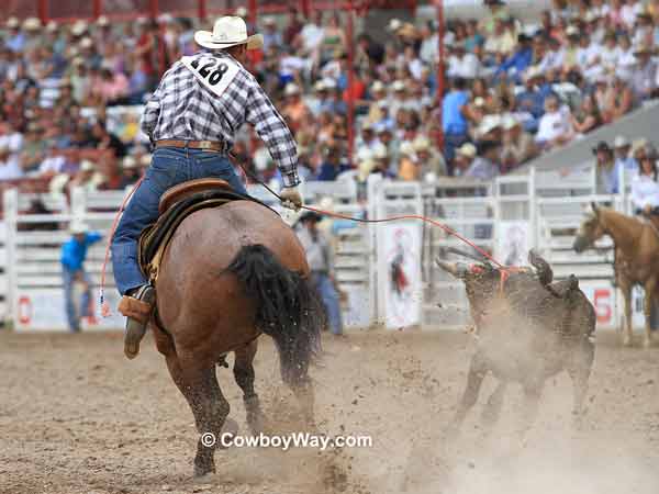 Team roping header Lance Brooks