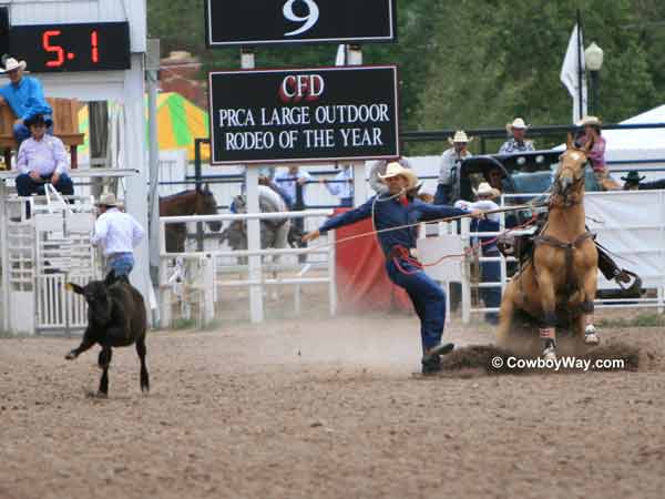 A tie-down roper runs down the rope