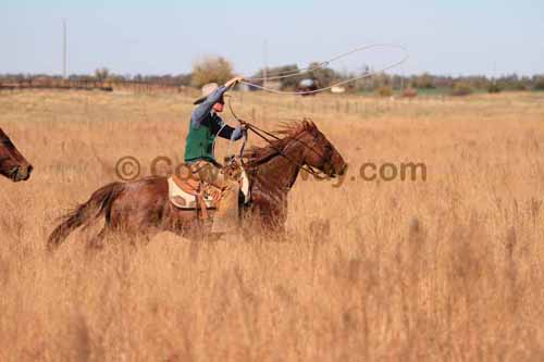 CRCM Pasture Roping, 11-07-15 - Photo 60