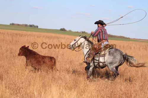 CRCM Pasture Roping, 11-07-15 - Photo 79