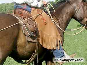 A cowboy wearing chinks