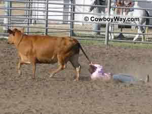Photo of wild cow milking in a ranch rodeo