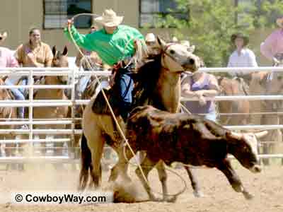 Cowgirl pictures: A cowgirl ropes a steer by the heels