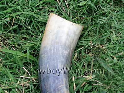 A horn with a smooth top