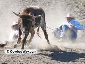 A photo at a ranch rodeo as two cowboys hang onto a steer