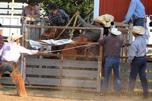 Junior Ranch Bronc Riding, 06-30-12 - Photo 11