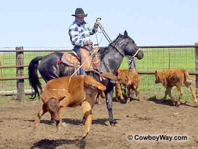 Cowboy picture of a cowboy roping a calf