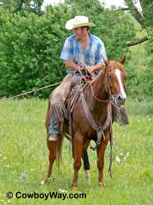 A cowboy waits for his calf to be worked