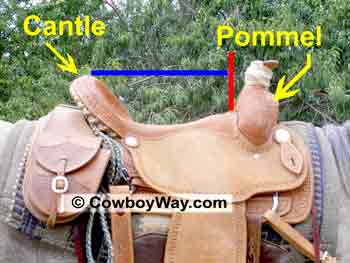 Photo of a roping saddle seat