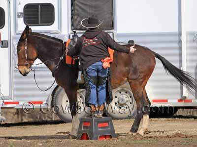 A horse step stool and grooming tote combination