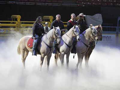 Rehearsing for the National Finals Rodeo (NFR)