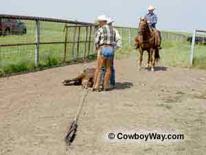 Nord Fork in place, heeler holding the heels