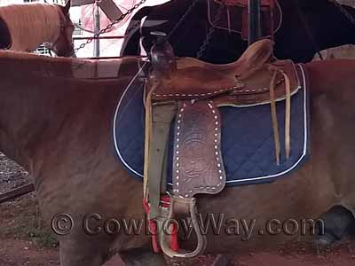 Pony saddle on a chestnut pony