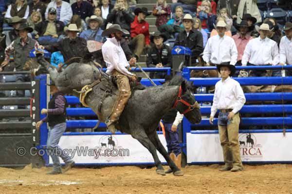 A gray ranch bronc and bronc rider