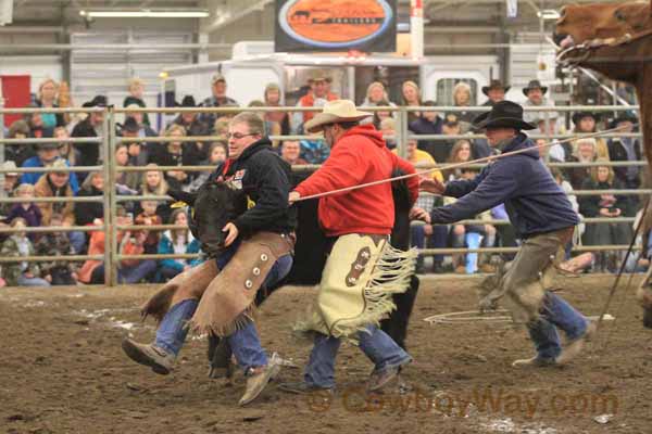 Ranch Rodeo, Equifest of Kansas, 02-11-12 - Photo 14