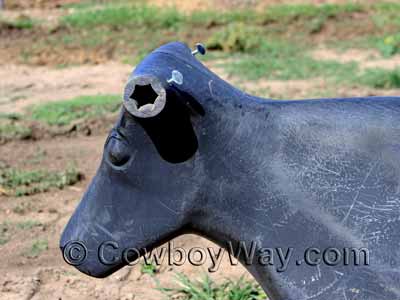 Close up of the Something Dummy head