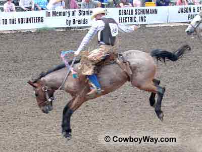 A saddle bronc rider on a bay roan bronc