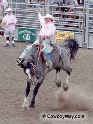 A saddle bronc rider looking good on a gray bronc