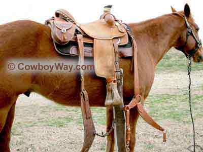 Straighten the cinches and breast collar