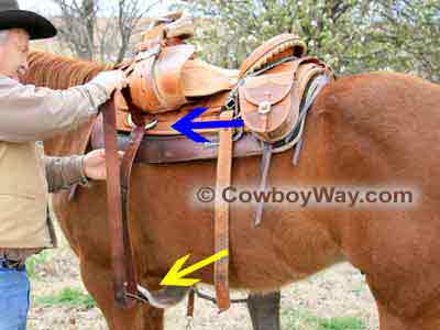 How to saddle a horse: Snug the saddle to the horse