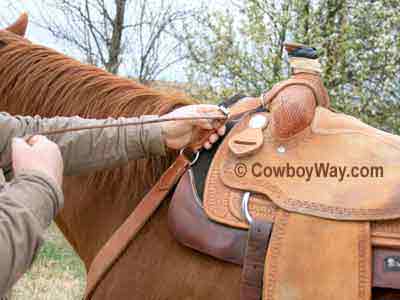 Buckle the breast collar