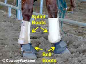 Splint boots and bell boots on a horse