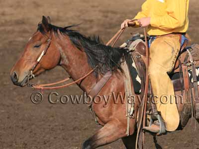 Split reins made of leather