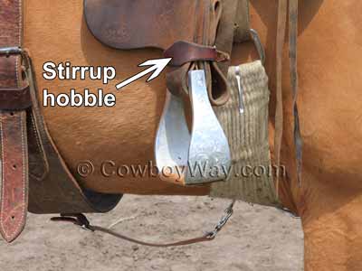 Stirrup hobble