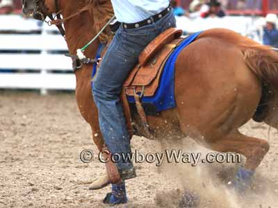 A team roping sadde being used in competition