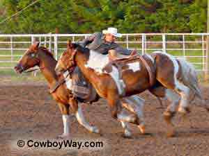Picture of two paint horses