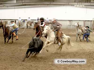 Roping the wild cow
