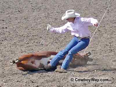 Branding a calf in the calf branding