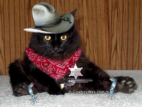 Current cowboy photo of the day