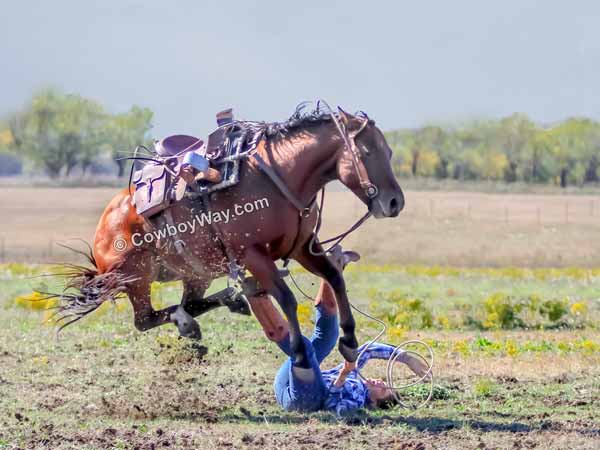 A random photo of the day featuring cowgirls or cowboys