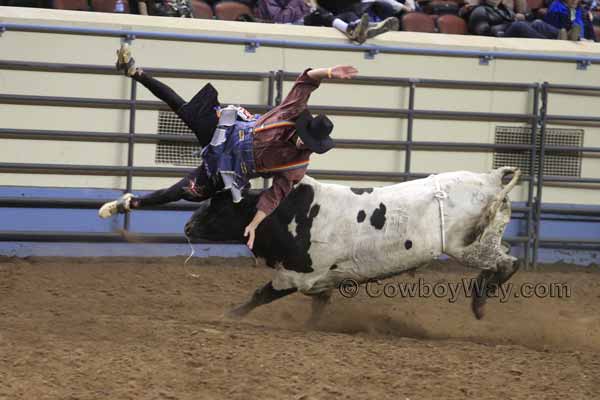 A random photo of the day featuring cowgirls or cowboys