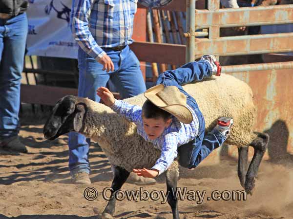 Current cowboy photo of the day