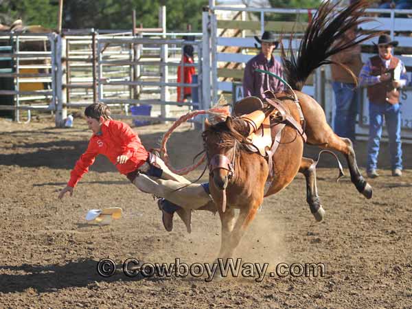 Current cowboy photo of the day