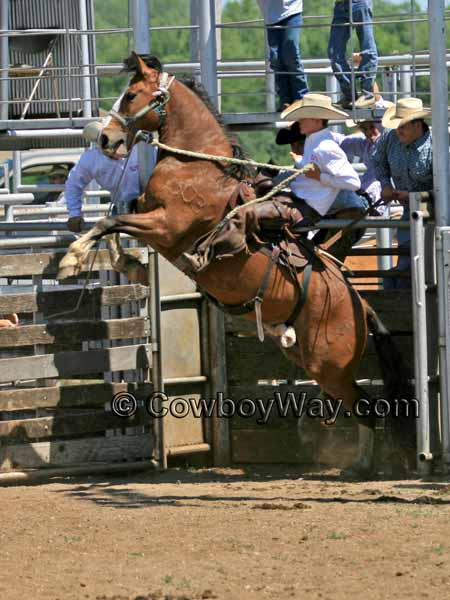 A 3rd daily photo with cowboys or cowgirls
