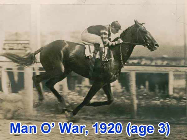 A 3rd daily photo with cowboys or cowgirls