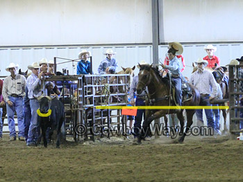 Team roping barrier