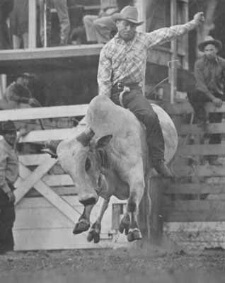 Earl W. Bascom riding a bucking Brahma bull