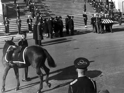 Black-and-white photo showing the horse Black Jack in a funeral procession