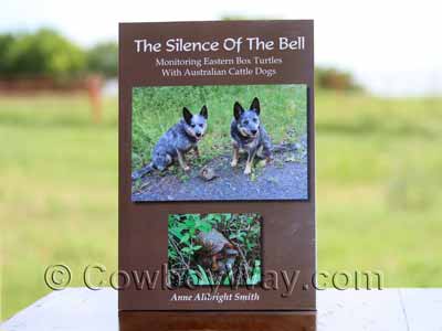 Book cover of Silence Of The Bell