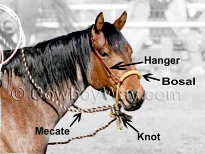 A horse bosal with the parts labeled