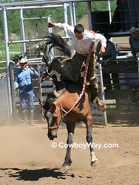 A bucking horse throws his rider