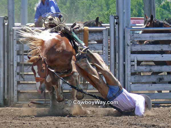 A bronc rider hangs up momentarily with both feet in the stirrups