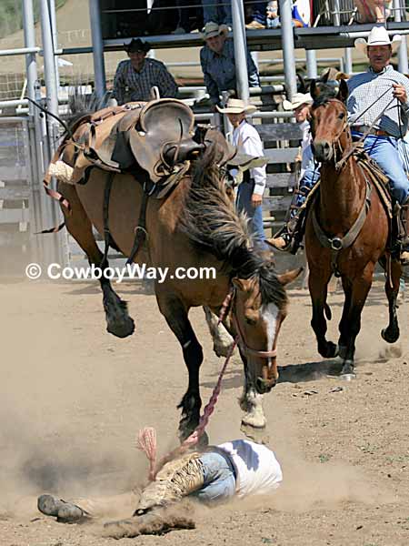A bucking horse leaps its fallen rider
