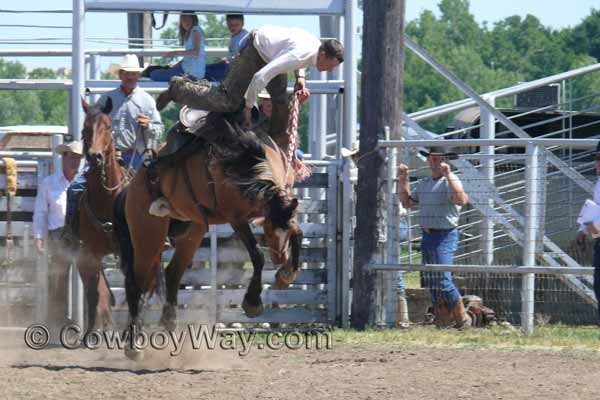 A bucking horse bucks its rider off over its head